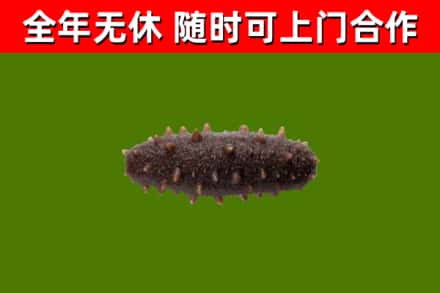 曲水烟酒回收干海参.jpg